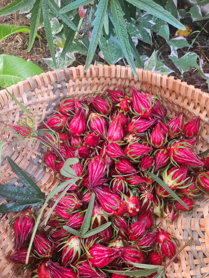 Hibiscus 1 oz