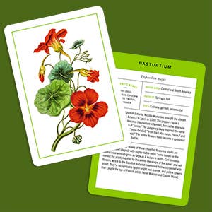 Nybg 100 Herb ID Flashcards