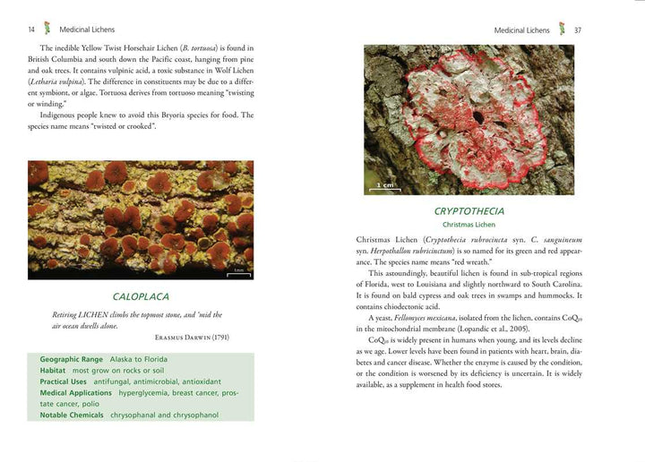 Medicinal Lichens by Robert Dale Rogers