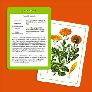Nybg 100 Herb ID Flashcards