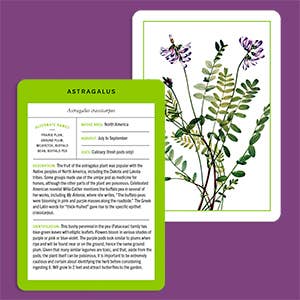 Nybg 100 Herb ID Flashcards