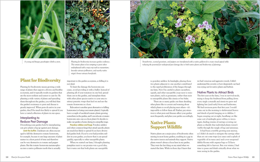 The Regenerative Gardener&