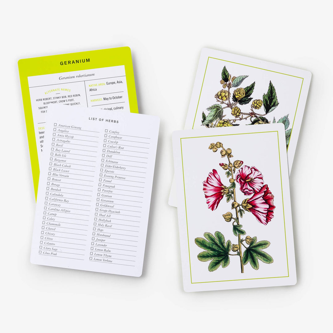 Nybg 100 Herb ID Flashcards
