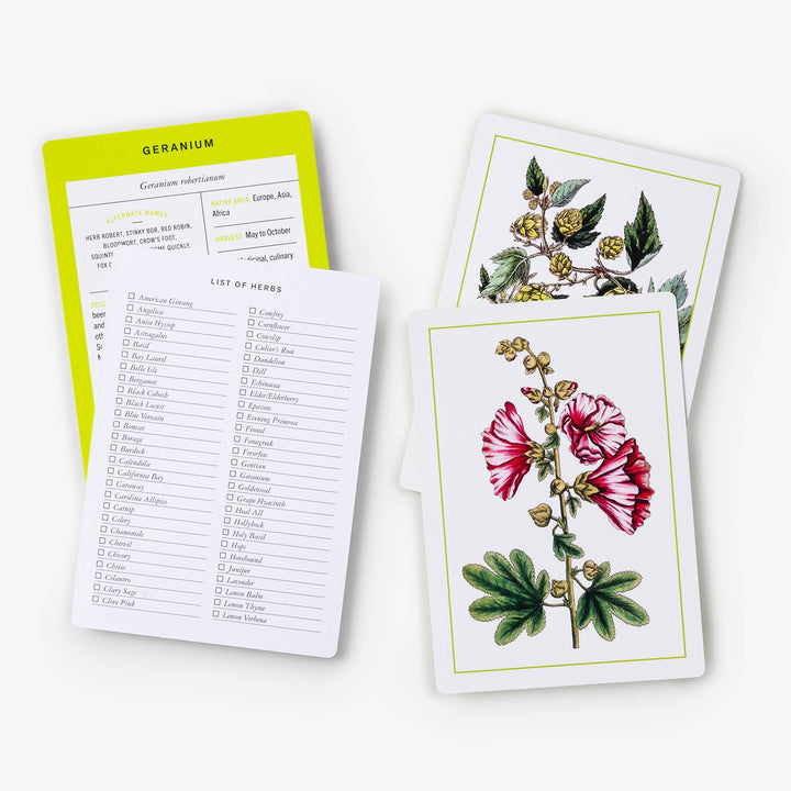 Nybg 100 Herb ID Flashcards