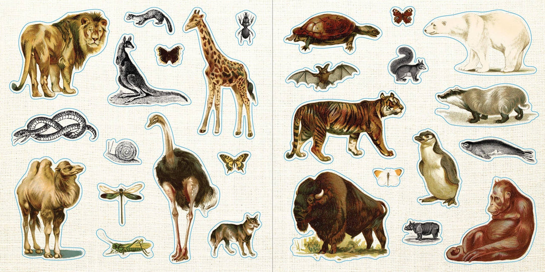 Loads of Ephemera! Sticker Book