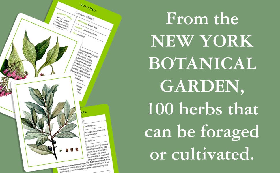 Nybg 100 Herb ID Flashcards