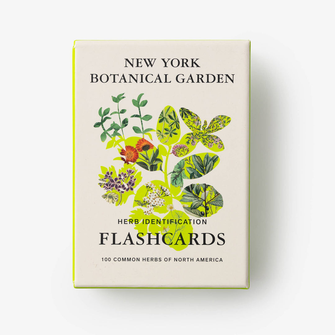Nybg 100 Herb ID Flashcards