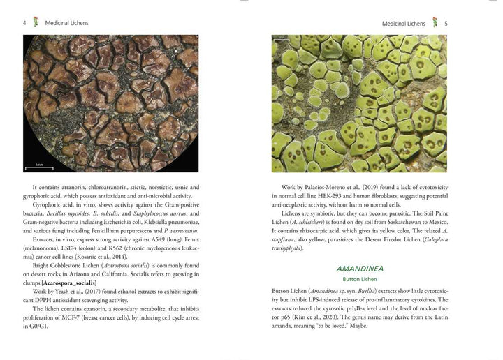 Medicinal Lichens by Robert Dale Rogers