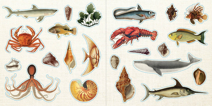 Loads of Ephemera! Sticker Book