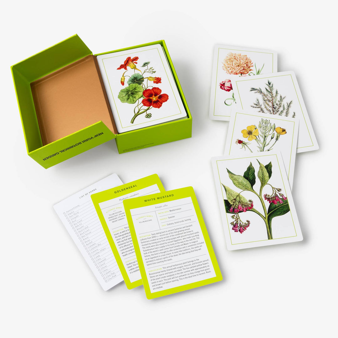 Nybg 100 Herb ID Flashcards