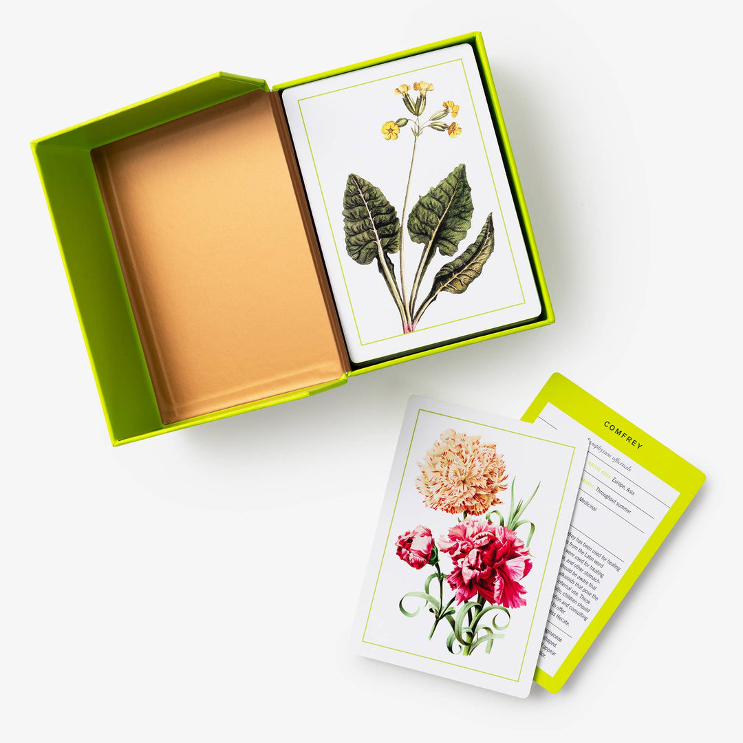 Nybg 100 Herb ID Flashcards