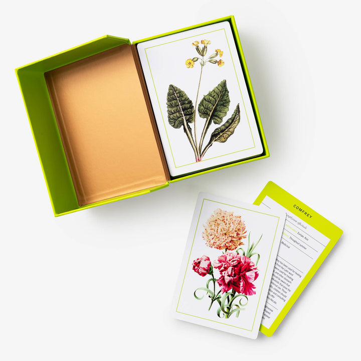 Nybg 100 Herb ID Flashcards