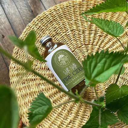 Nettle Fire Cider Tonic
