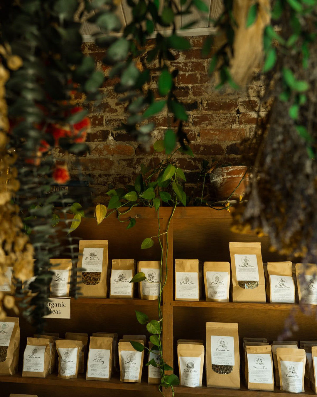 Organic wildcrafted dried herbs made my Synergy Herbal Works Herbal Apothecary in Tennessee in bags displayed on wooden shelves in a rustic shop setting with a brick wall background and hanging greenery.